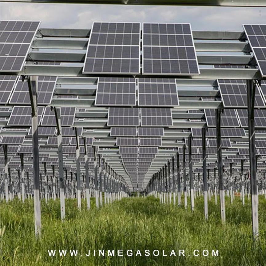 Prodotto in evidenza | Sistema di montaggio solare JinMega Agricultural Farmland I