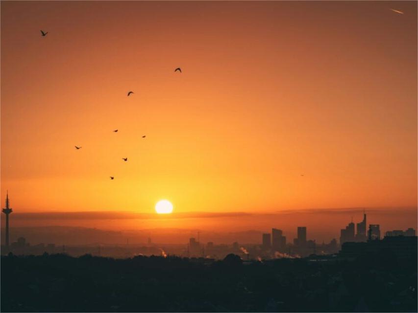 La Germania aggiunge 7,1 GW di nuova capacità solare nel primo semestre del 2025